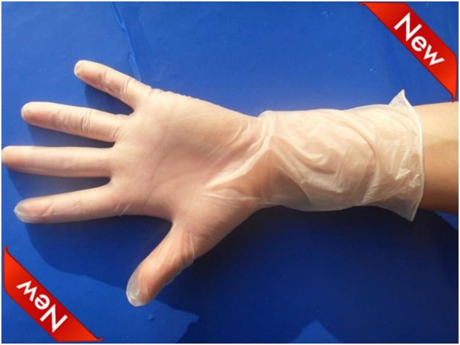 New Items: Long cuff vinyl gloves ( 12’ which is around 300 mm length)