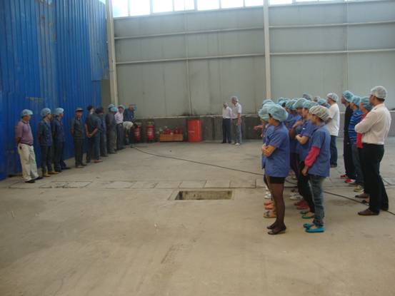 New production lines #21~#24 is establishing